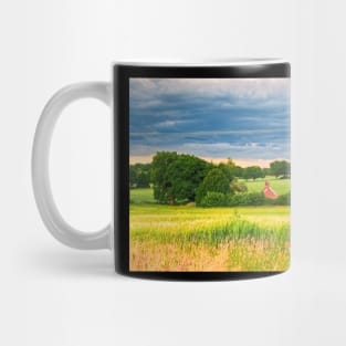 House In The Country Mug